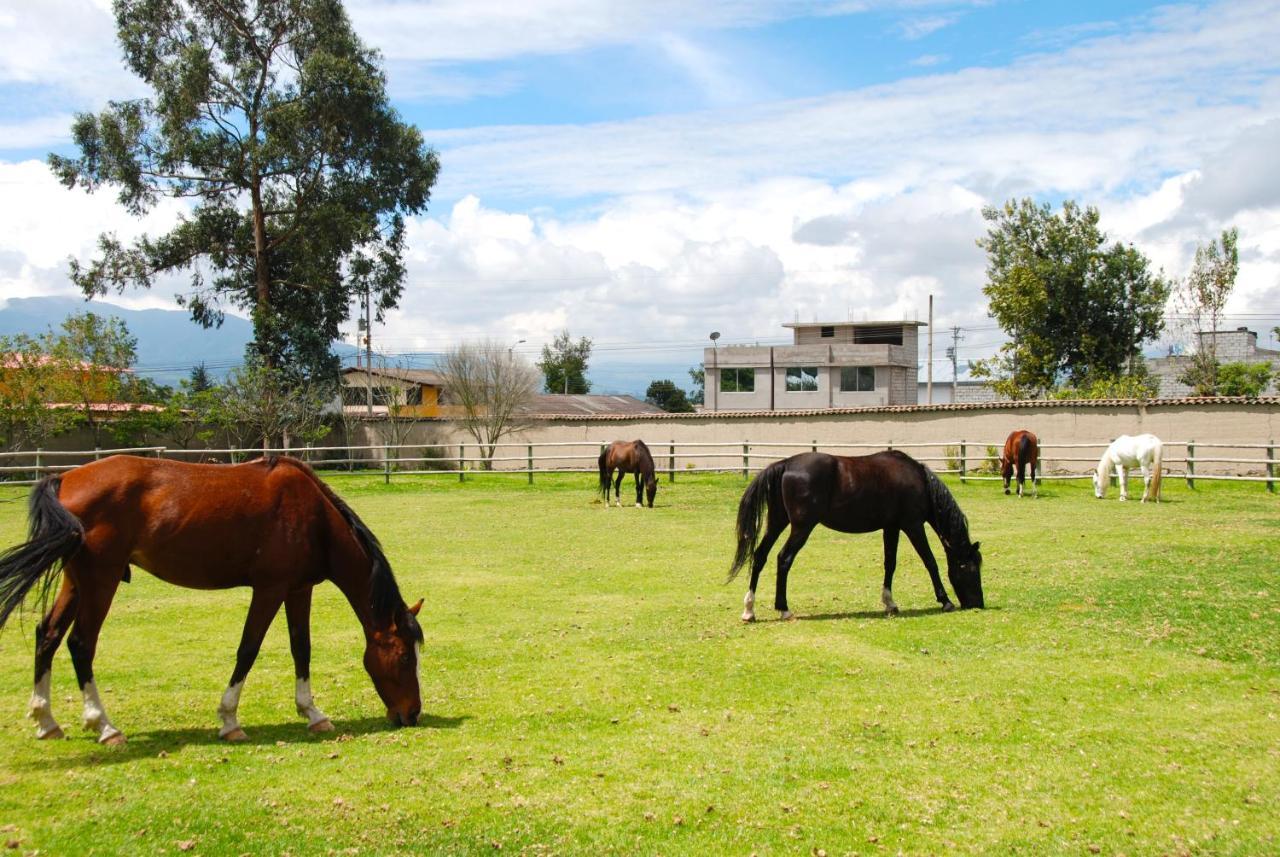 Hacienda Cusin Hotel Otavalo Bagian luar foto